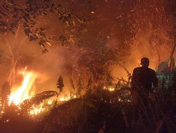 Karhutla di Parit H. Muksin Berhasil Dipadamkan, Polisi Buru Pemilik Lahan dan Pembakar Misterius!