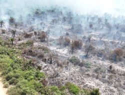 Hampir 100 Hektar Lahan Terbakar di Singkawang: Petugas Gabungan Berjibaku Padamkan Api, Helikopter Water Bombing Diupayakan