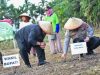 Kubu Raya Menanam Masa Depan: Jagung Jadi Kunci Menuju Kedaulatan Pangan!