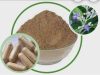 Legundi di Bumi Khatulistiwa: Lebih dari Sekadar Penghias, Solusi Multi Manfaat untuk Kalimantan Barat!