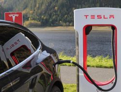Penjualan Tesla Merosot Dua Kuartal Berturut, Elon Musk Diserang Trump