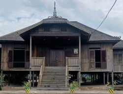 Kolase Journalist Camp 2025 di Pontianak: Jurnalis Bersatu Suarakan Pelestarian Ragam Hayati