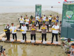 Tanam Mangrove di Pesisir Mempawah, Jaga Lingkungan Demi Masa Depan Anak Cucu