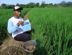 Harapan dari Sawah, Jalanan, dan Laut: Antusias Warga Hadiri Undangan Presiden ke Istana Merdeka