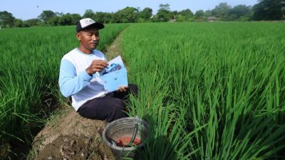 Harapan dari Sawah, Jalanan, dan Laut: Antusias Warga Hadiri Undangan Presiden ke Istana Merdeka