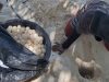 Gagalkan Perdagangan Ratusan Telur Penyu, Satwa Dilindungi Dilepasliarkan ke Laut