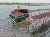 LPMUKP Dukung Koperasi Rumput Laut Sidoarjo, Produksi Naik hingga Tembus Ekspor ke Cina