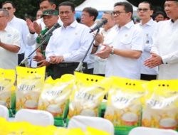 Pemerintah Salurkan 43 Ribu Ton Beras SPHP Serentak untuk Stabilisasi Harga