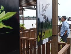 KJC 2025 Pamerkan 20 Foto Keanekaragaman Hayati Kalbar di Bantaran Sungai Kapuas