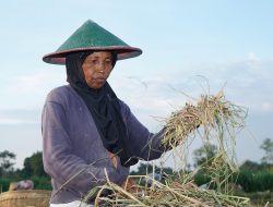 Ekonomi Indonesia Tumbuh 5,12 Persen, Masuk Jajaran Tertinggi di G20 dan ASEAN
