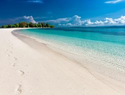 Program Laut Sebasah dan Kawasan Mangrove Nasional untuk Ekonomi Biru