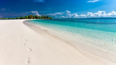 Program Laut Sebasah dan Kawasan Mangrove Nasional untuk Ekonomi Biru