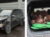 Maling Sawit PT BSL Ditangkap, Polres Sekadau Buru Satu Pelaku Lain