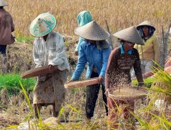 Polri Kawal Distribusi 1,3 Juta Ton Beras SPHP, Tindak Tegas Produsen Curang