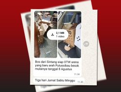 Jelang MTQ Tingkat Provinsi, Judi Sabung Ayam Kembali Marak di Putussibau