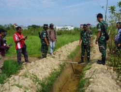 Jaga Ketahanan Pangan, Kodam XII/Tpr Tinjau Lahan Pertanian di Kapuas Hulu