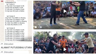 Wartawan Diancam Usai Beritakan Judi Sabung Ayam di Putussibau Utara