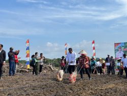 Capaian Tanam Jagung Lampaui Target, Landak Optimis Ketahanan Pangan Meningkat