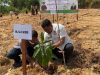 Kejari Landak Tanam 80 Pohon Peringati HUT Kejaksaan ke-80, Dorong Gerakan Penghijauan