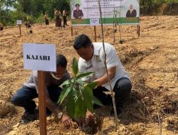 Kejari Landak Tanam 80 Pohon Peringati HUT Kejaksaan ke-80, Dorong Gerakan Penghijauan