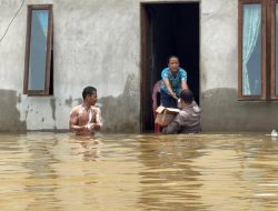 Banjir Melanda Melawi, Akses Jalan dan Ratusan Rumah Warga Terendam Akibat Curah Hujan Tinggi