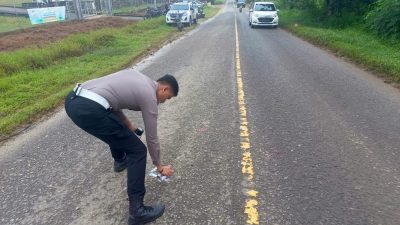 Kecelakaan Maut di Sekadau: Pengendara Motor Meninggal Dunia Usai Bertabrakan dengan Micro Bus
