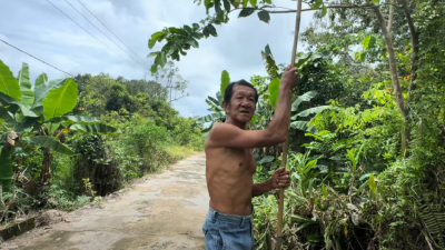 Jejak Peradaban Tionghoa Boklo: Kisah Petani dan Peternak di Pedalaman Kubu Raya