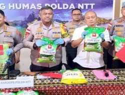 Dua Kasus Pelanggaran Perlindungan Konsumen Terungkap: Beras Rusak dan Penyelewengan SPHP