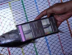 KKP Luncurkan e-Logbook Versi 3, Inovasi Cerdas untuk Pendataan Ikan Berbasis AI