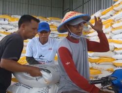 Harga Pupuk Masih Jadi Persoalan, Ekonom UI Usulkan Skema Subsidi Reimburse untuk Petani