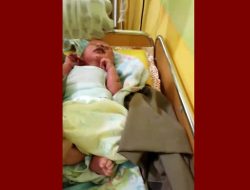 Kronologi Penemuan Bayi Hidup di Padang Tikar dan Dugaan Motif Pembuangan