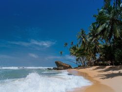 KKP Tambah 1,079 Juta Hektare Kawasan Konservasi Laut Baru, Perkuat Komitmen Ekonomi Biru Indonesia