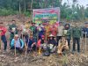 Koramil 07/Air Besar Tanam Jagung, Sinergi TNI-Petani Landak Dukung Swasembada Pangan