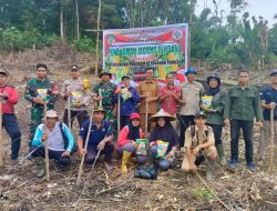 Koramil 07/Air Besar Tanam Jagung, Sinergi TNI-Petani Landak Dukung Swasembada Pangan