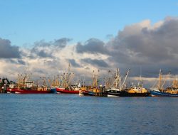 KKP dan Malaysia Sepakat Perkuat Pengawasan Ikan Dilindungi, Cegah Penyelundupan Lintas Negara