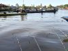 Lomba Mancing Udang Galah di Sungai Sambas, Peserta Diminta Lepaskan Udang yang Sedang Bertelur