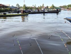 Lomba Mancing Udang Galah di Sungai Sambas, Peserta Diminta Lepaskan Udang yang Sedang Bertelur