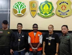 7 Bulan Buron, Pelaku Utama Peredaran 120 Batang Kayu Ulin Ilegal di Kalbar Ditangkap