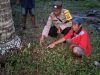 Bayi Dibuang di Kebun Kelapa Padang Tikar, Polisi Lakukan Olah TKP dan Buru Pelaku