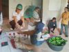 Vetsin Daun Sengkubak dari Kapuas Hulu: Penyedap Alami Alternatif Sehat Pengganti MSG Sintetis
