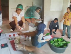 Vetsin Daun Sengkubak dari Kapuas Hulu: Penyedap Alami Alternatif Sehat Pengganti MSG Sintetis