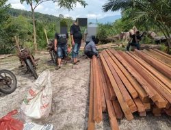 7 Pelaku Pembalakan Liar Perbatasan Sambas Ditangkap, Menebang Kayu di Kawasan Konservasi TWA Gungun Dungun