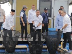 Budidaya Ikan Kerapu di Kepulauan Seribu Perkuat Ketahanan Pangan dan Kesejahteraan Masyarakat Pesisir