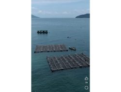 Dua Perusahaan Budidaya Mutiara di Bengkayang Langgar Zona Konservasi Laut