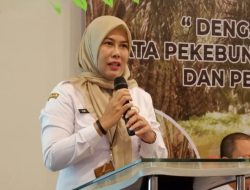 Dari Teknik Sipil ke Bappeda: Kisah Karier Ir. Dwi Yanti, Calon Sekda Singkawang Peraih Nilai Tertinggi