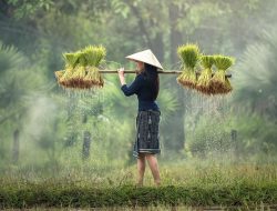 Bulog Fokus Bangun 100 Gudang Baru di Daerah 3T Perkuat Cadangan Pangan Nasional
