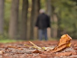 Dua Perempuan Jadi Tersangka Perdagangan Orang, Korban Tak Digaji dan Alami Kekerasan di Batam