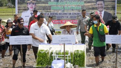 Landak Perkokoh Posisi Sentra Pangan Daerah: Capaian Luas Tanam Padi Tertinggi se-Kalbar, Lampaui Target Pusat