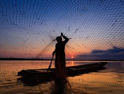 Potensi Blue Food Indonesia Capai 24 Juta Ton, Siap Dukung Ketahanan Pangan Dunia