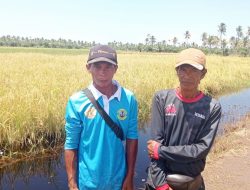 Ancaman Ketahanan Pangan di Jongkat: Dugaan Limbah PT MSL dan PT MAS Rusak Lahan Pertanian Selama 8 Tahun